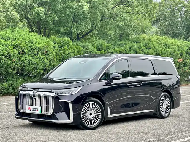 2025 Voyah Dream