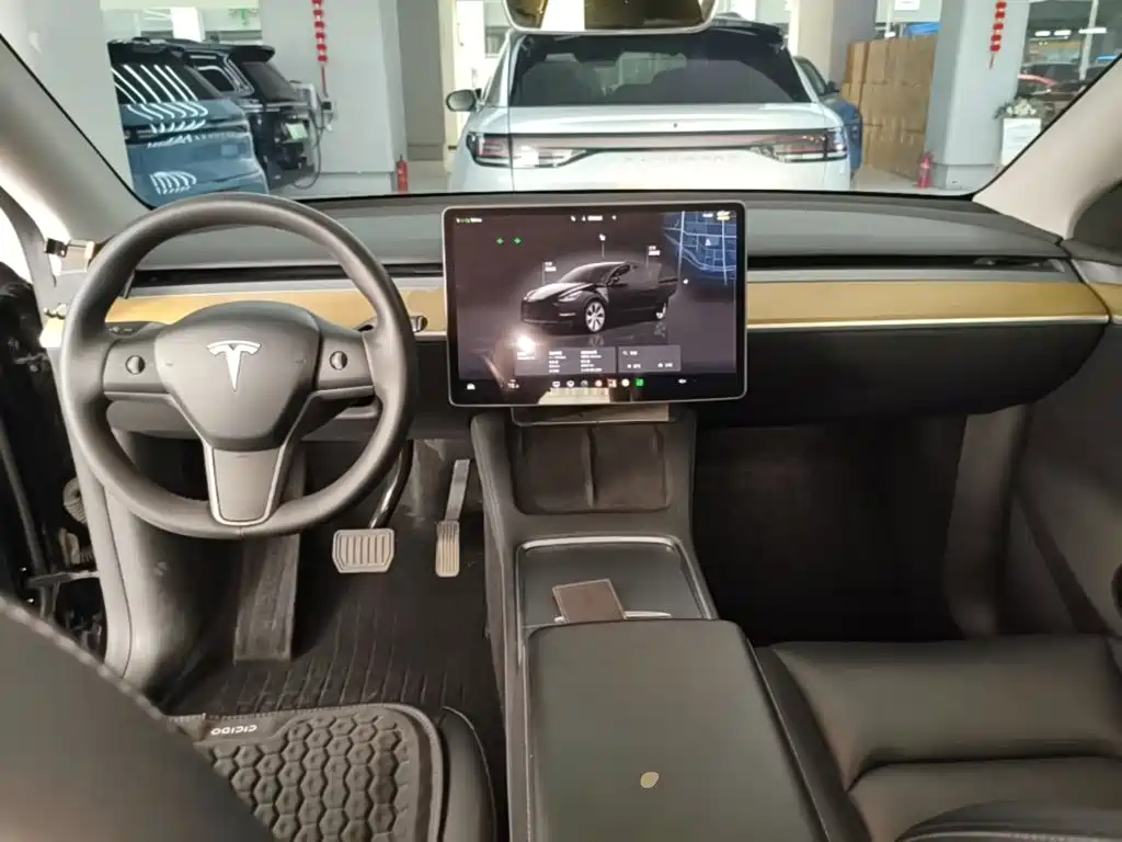 Tesla Model Y — миниатюра 10