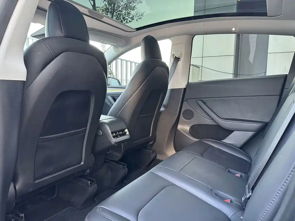 Tesla Model Y — миниатюра 6