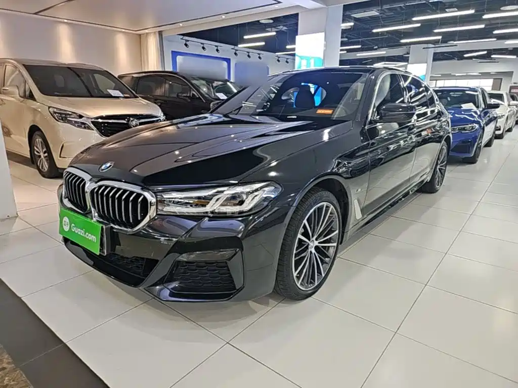 BMW 5 Series — миниатюра 2