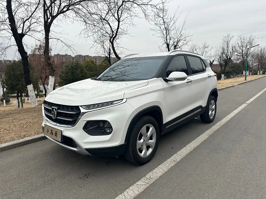BAOJUN 510