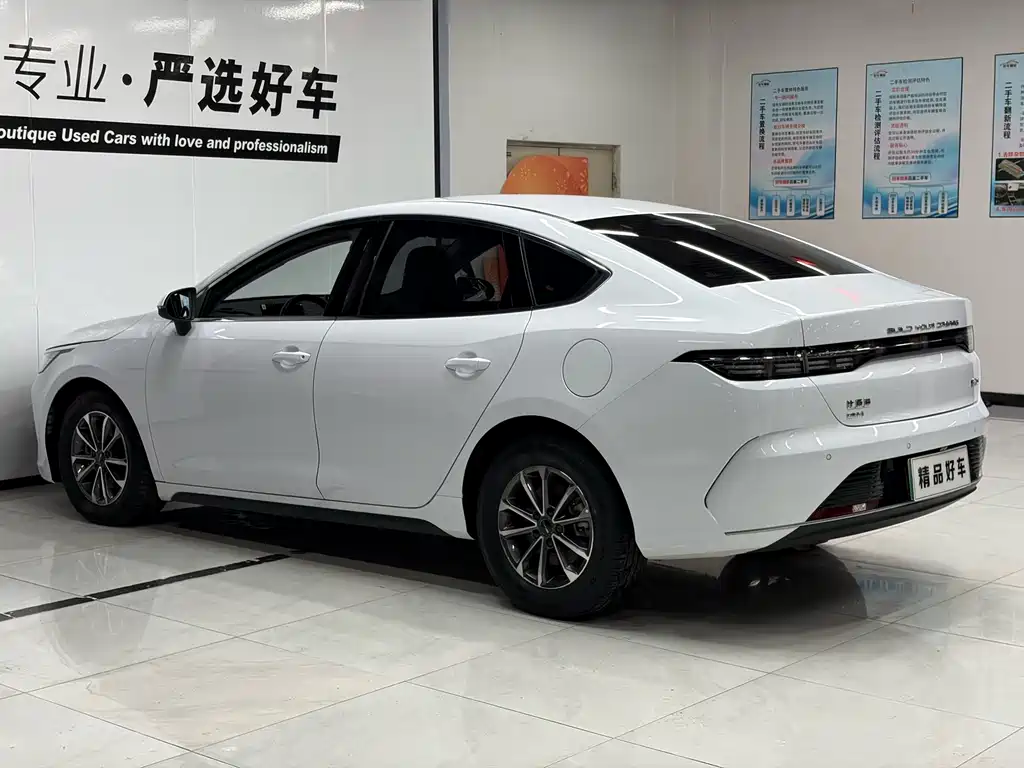 BYD Destroyer 05 2024 DM-i 55KM Luxury