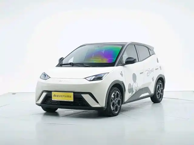 2024 BYD Seagull
