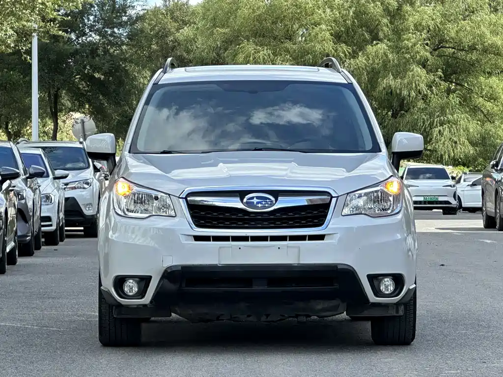 Subaru Forester — миниатюра 2
