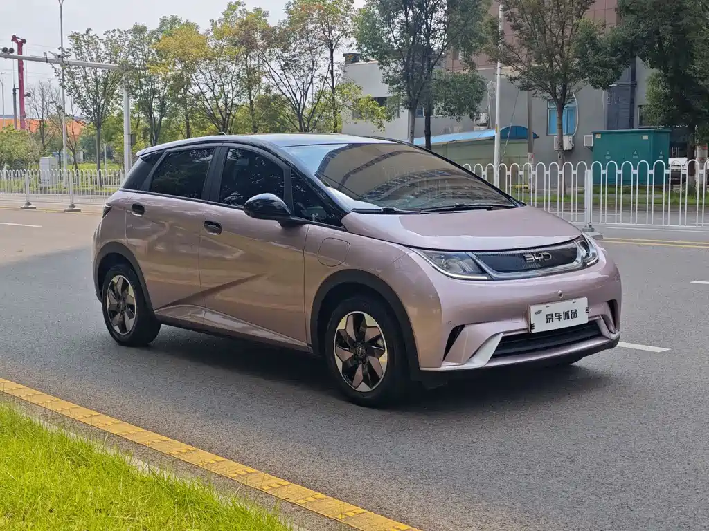 BYD Dolphin — миниатюра 3