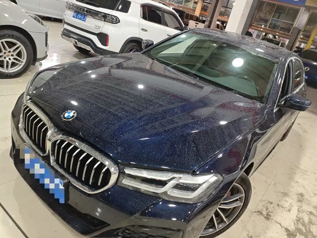 BMW 5 Series — миниатюра 5