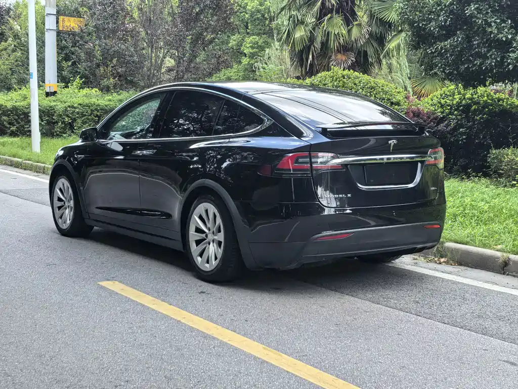 Tesla Model X — миниатюра 5