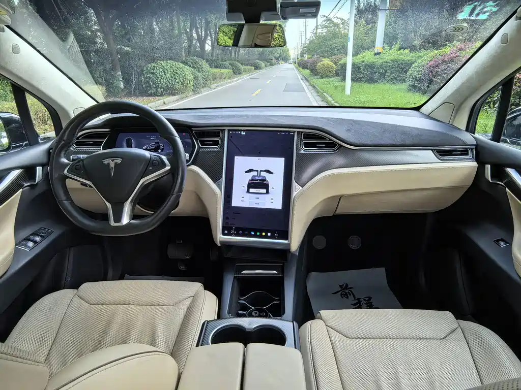 Tesla Model X — миниатюра 11