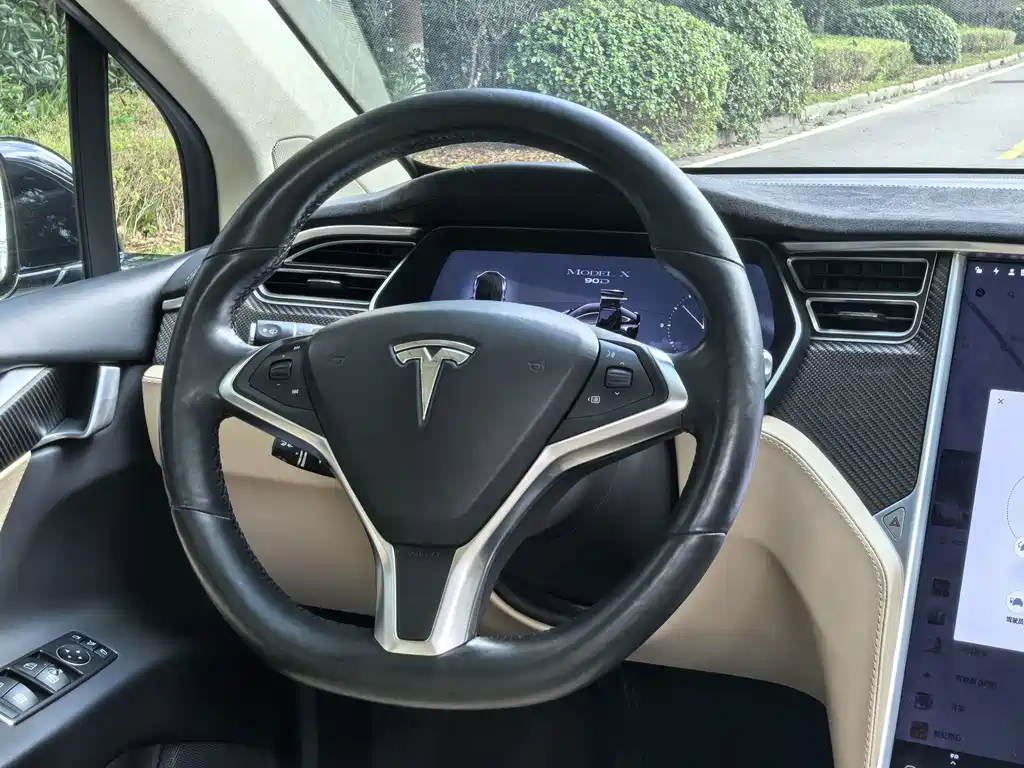 Tesla Model X — миниатюра 13