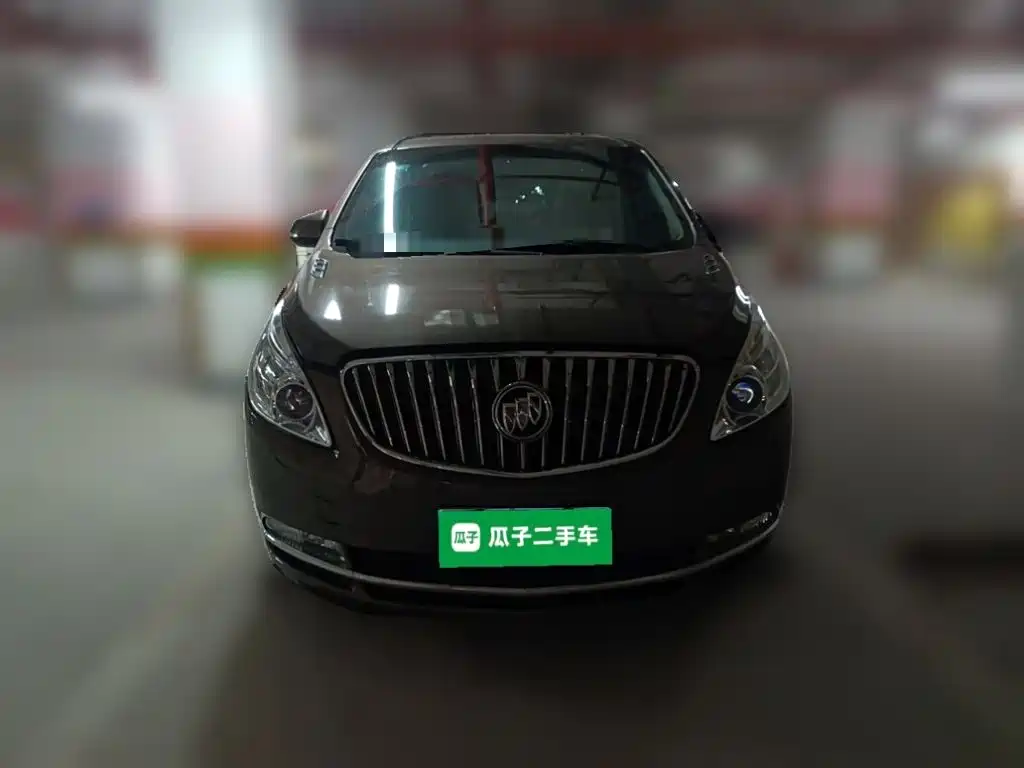 Buick GL8 — миниатюра 23