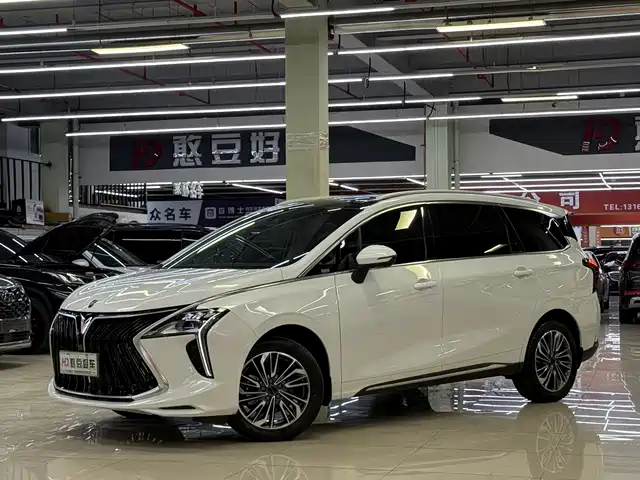 Dongfeng Forthing Forthing Yacht