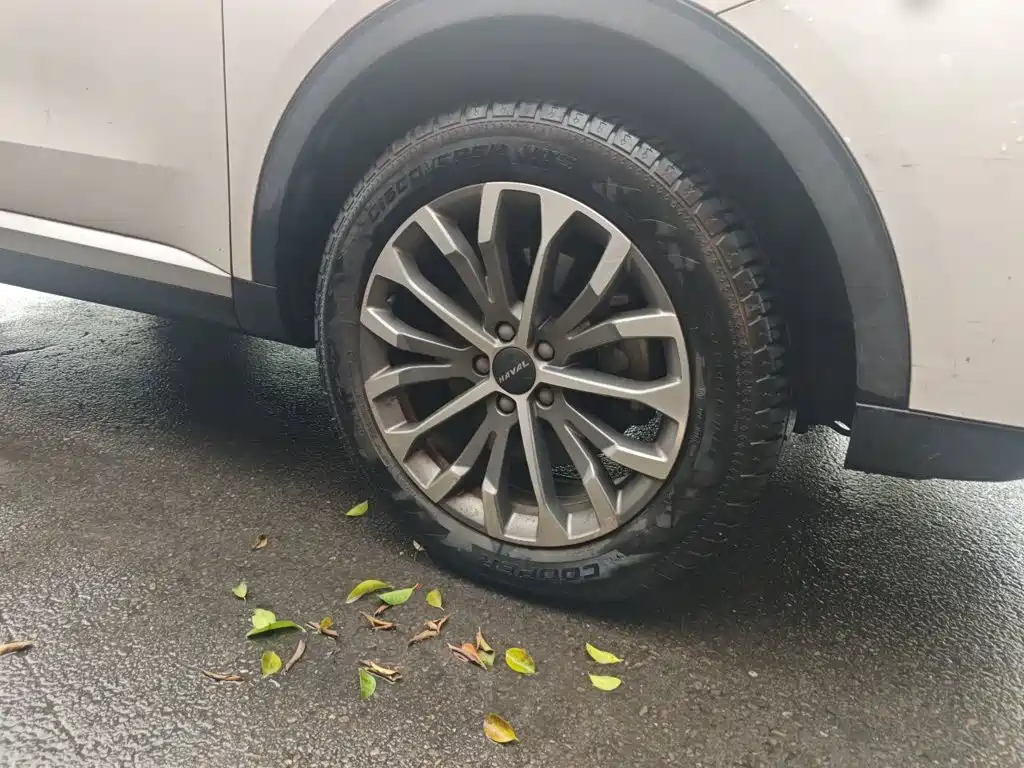 Haval H6 — миниатюра 24