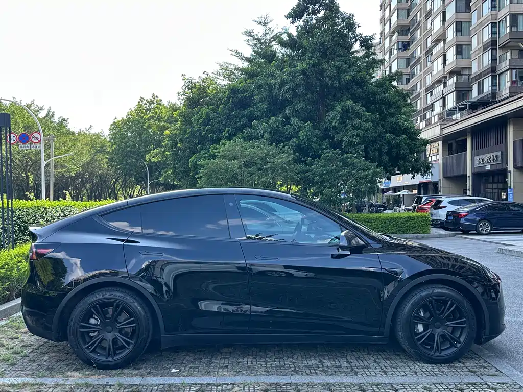 Tesla Model Y — миниатюра 4