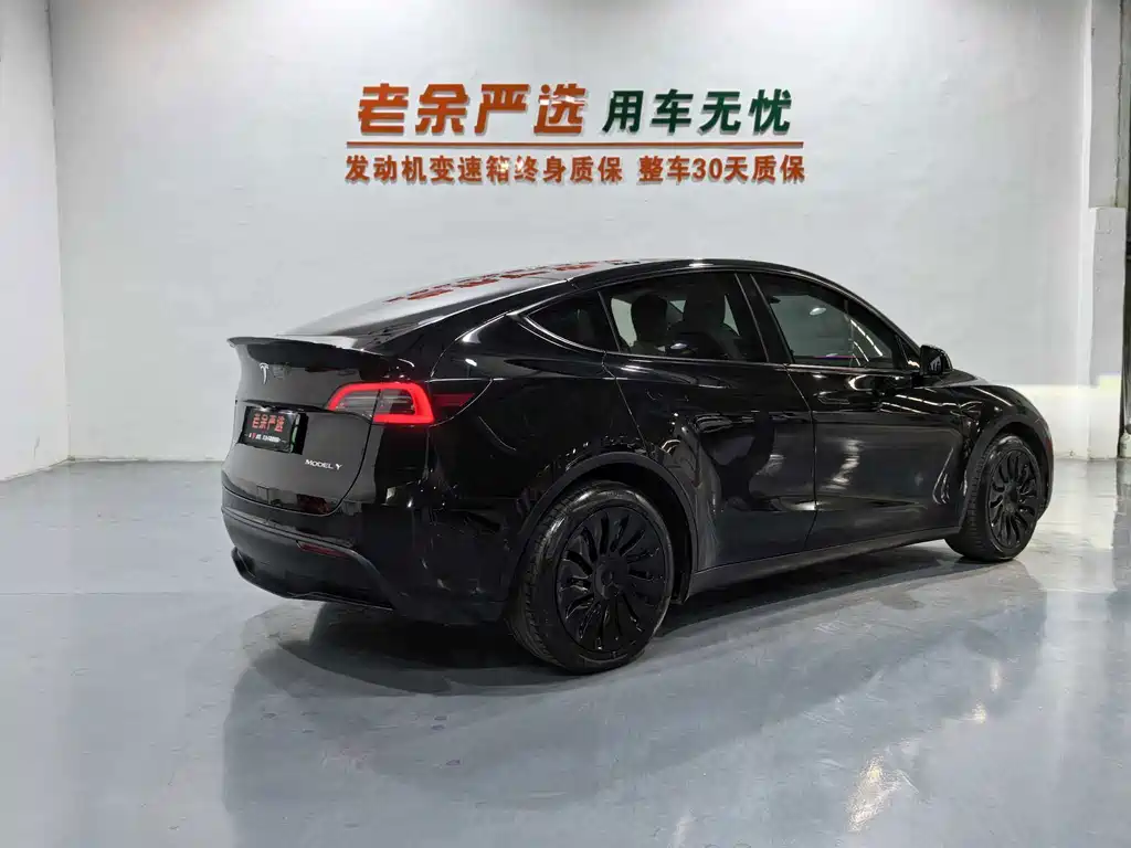 Tesla Model Y — миниатюра 8