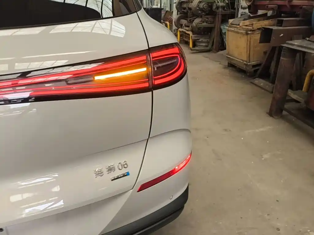 BYD Sealion 06 — миниатюра 8