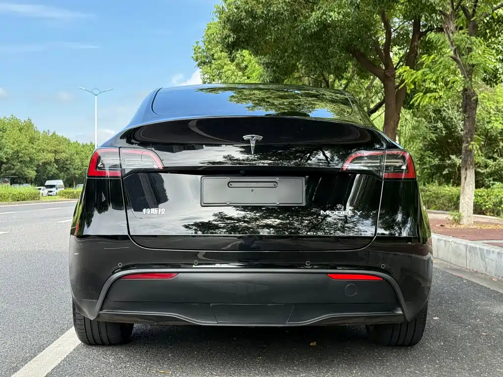 Tesla Model Y — миниатюра 4