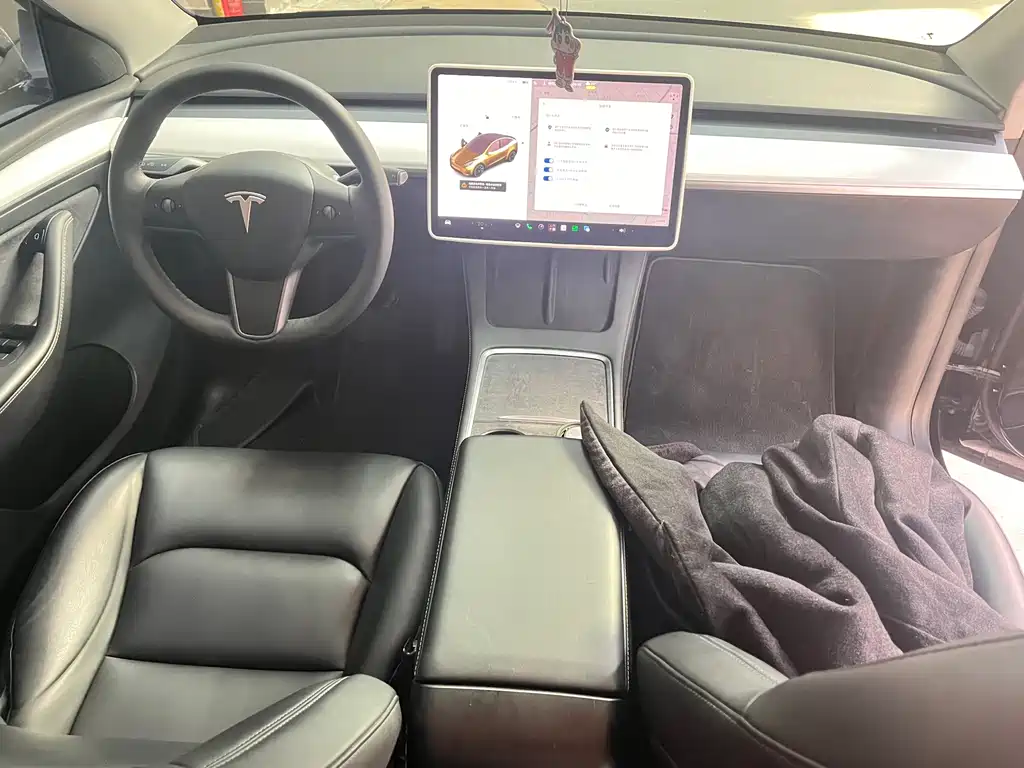 Tesla Model Y — миниатюра 8