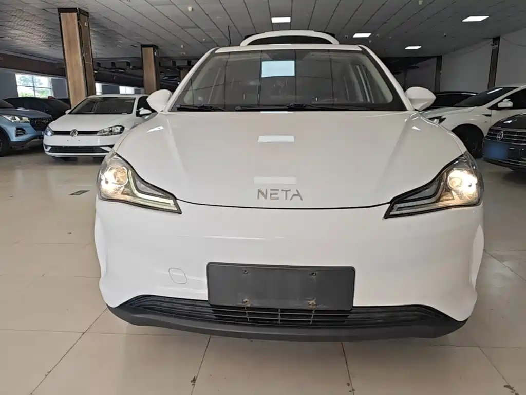 Neta Neta V — миниатюра 3