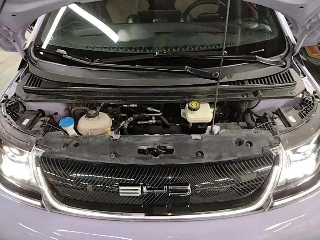 BYD Dolphin — миниатюра 20