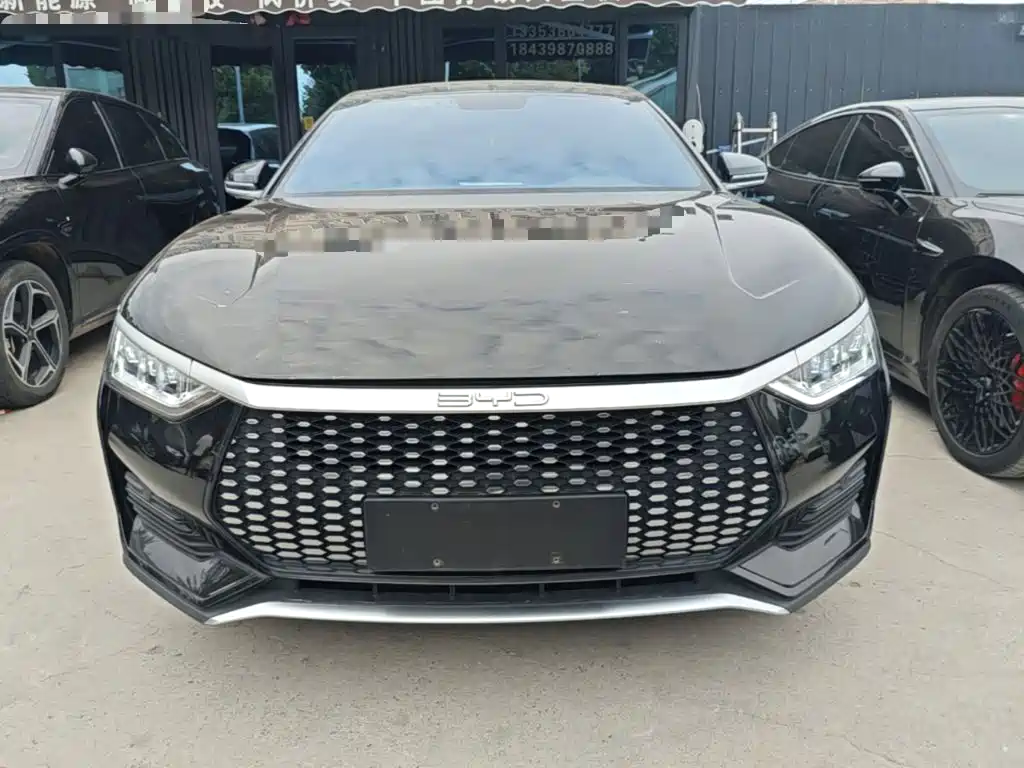 BYD e9 — миниатюра 3