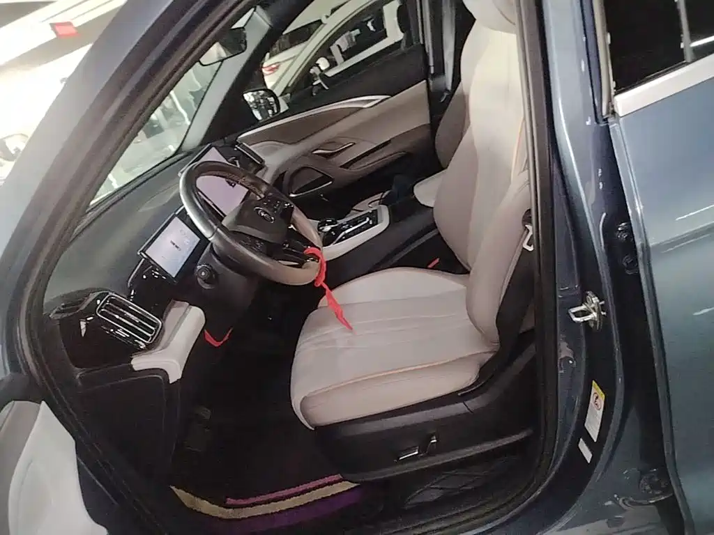BYD Pro New Energy — миниатюра 15