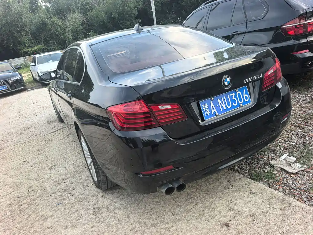 BMW 5 Series 5 2014 525Li Lead