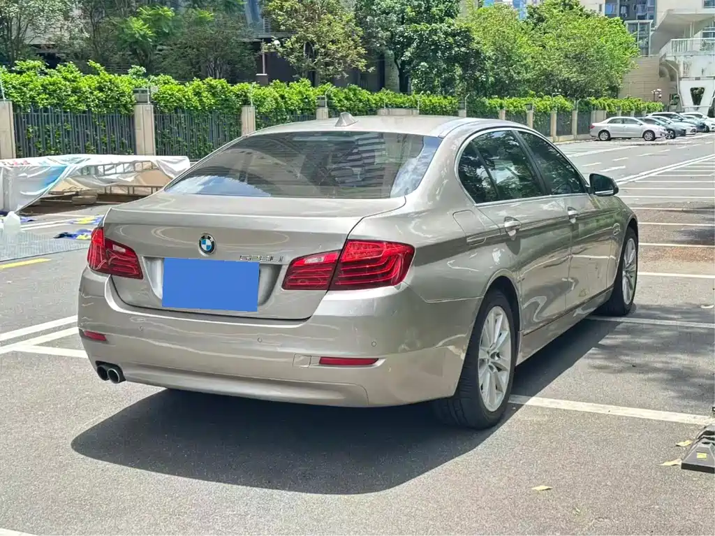 BMW 5 Series 5 2014 528Li Lead
