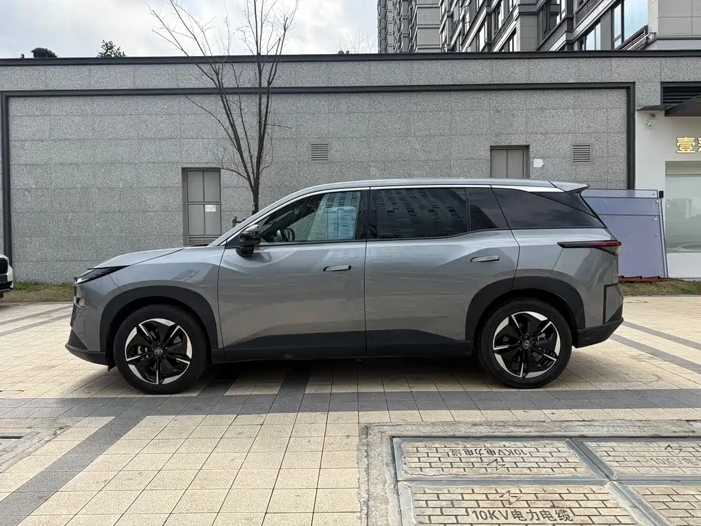 TOYOTA PLATINUM WISDOM 3X