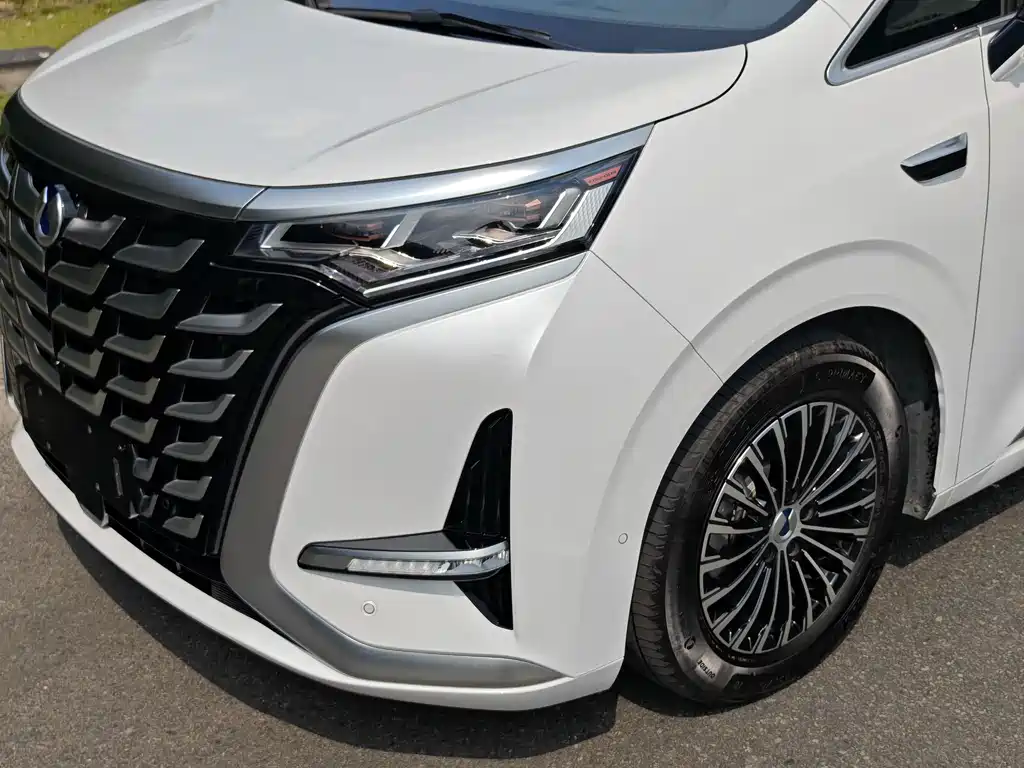 Denza Denza D9 — миниатюра 9