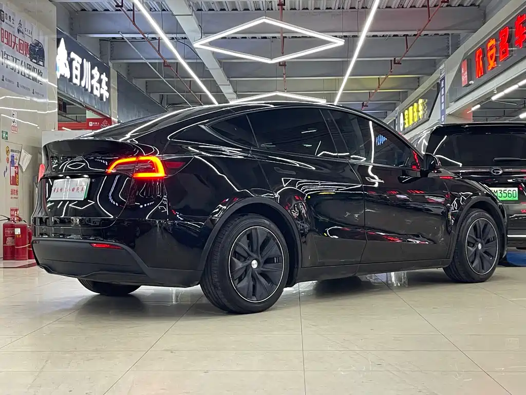 Tesla Model Y — миниатюра 8