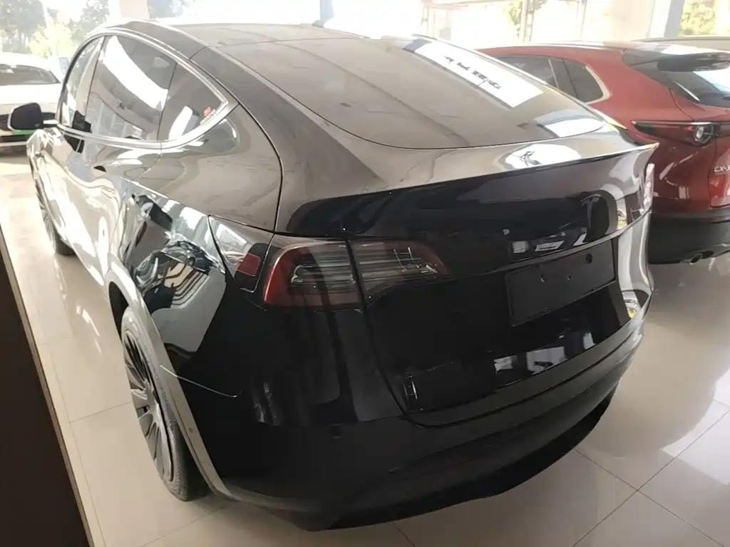 Tesla Model Y — миниатюра 5
