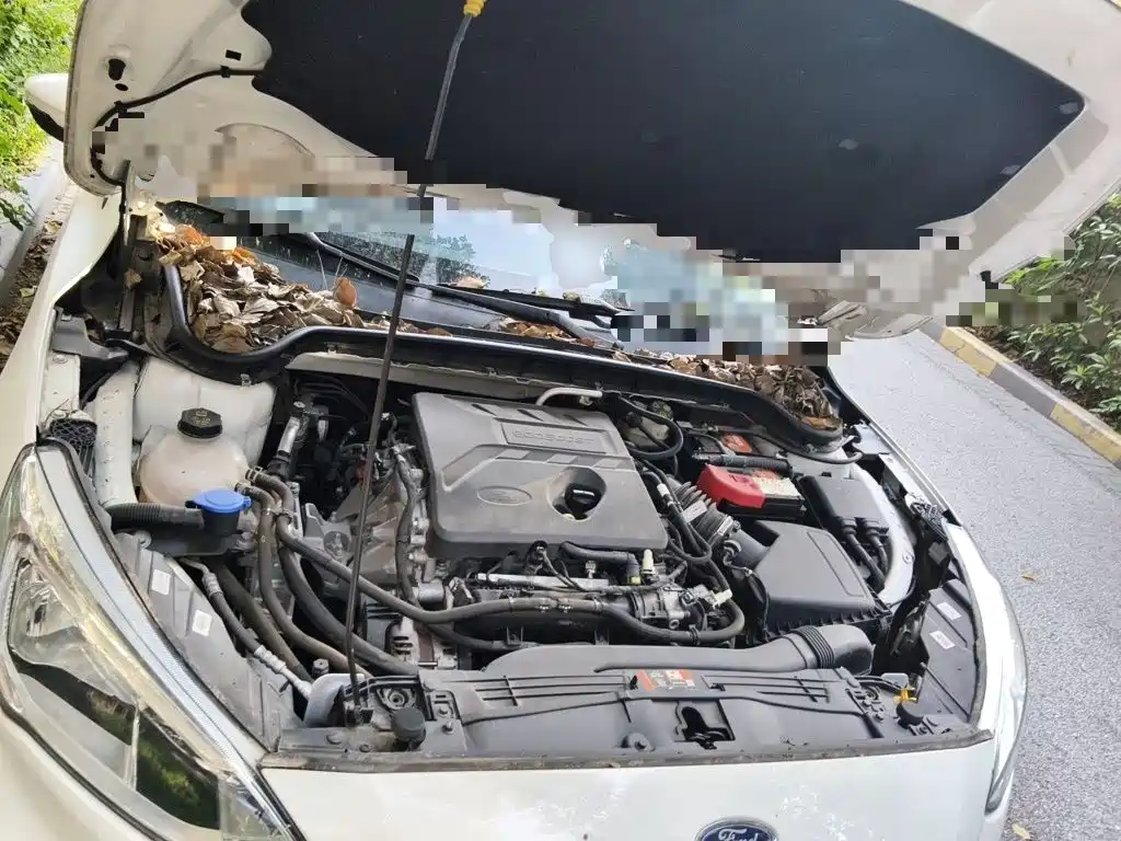 Ford Focus — миниатюра 11