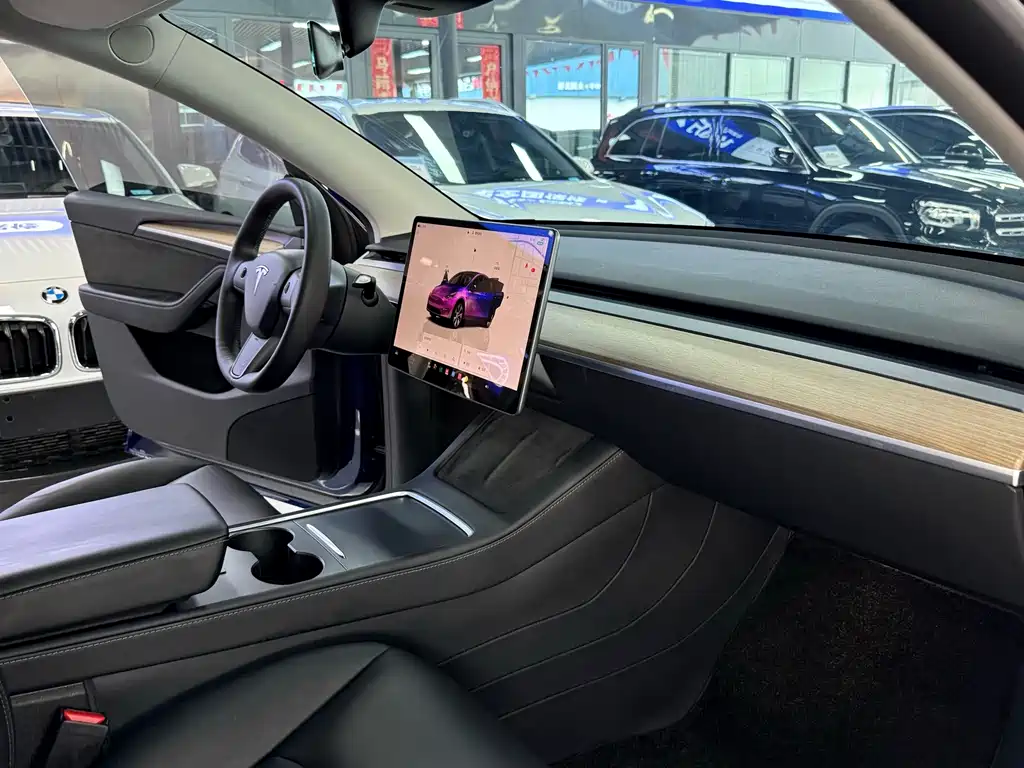 Tesla Model Y — миниатюра 10