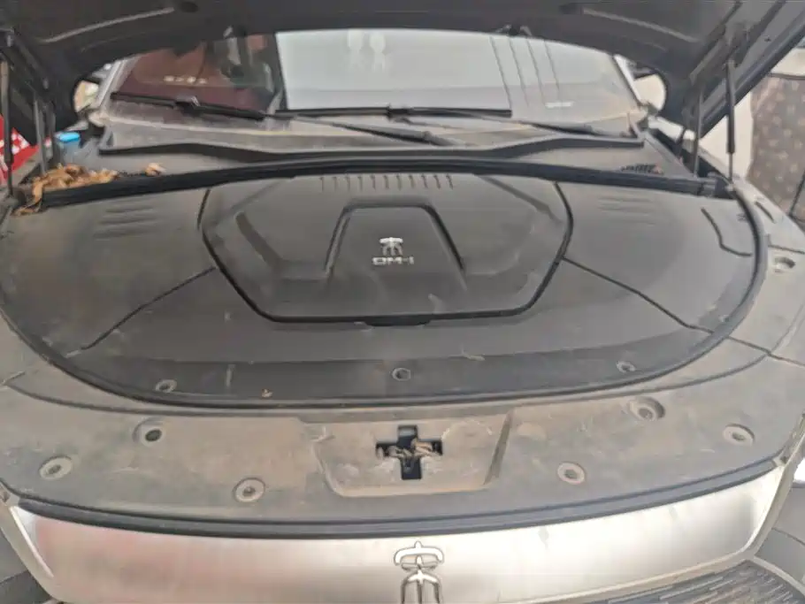 BYD SONGJIANG NEW ENERGY