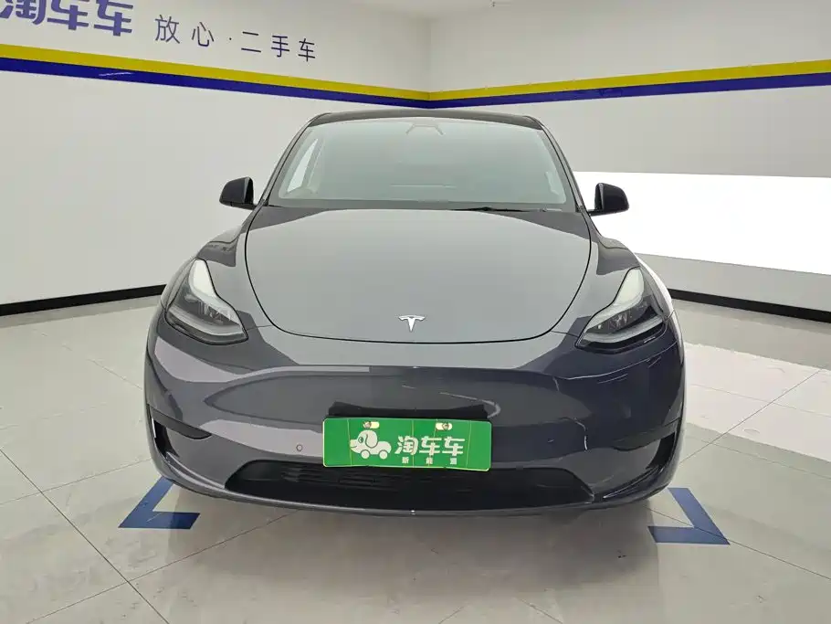 Tesla Model Y — миниатюра 2