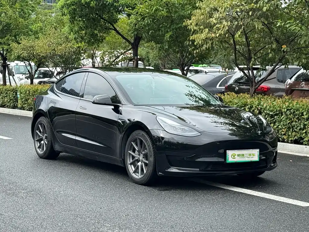Tesla Model 3 — миниатюра 13