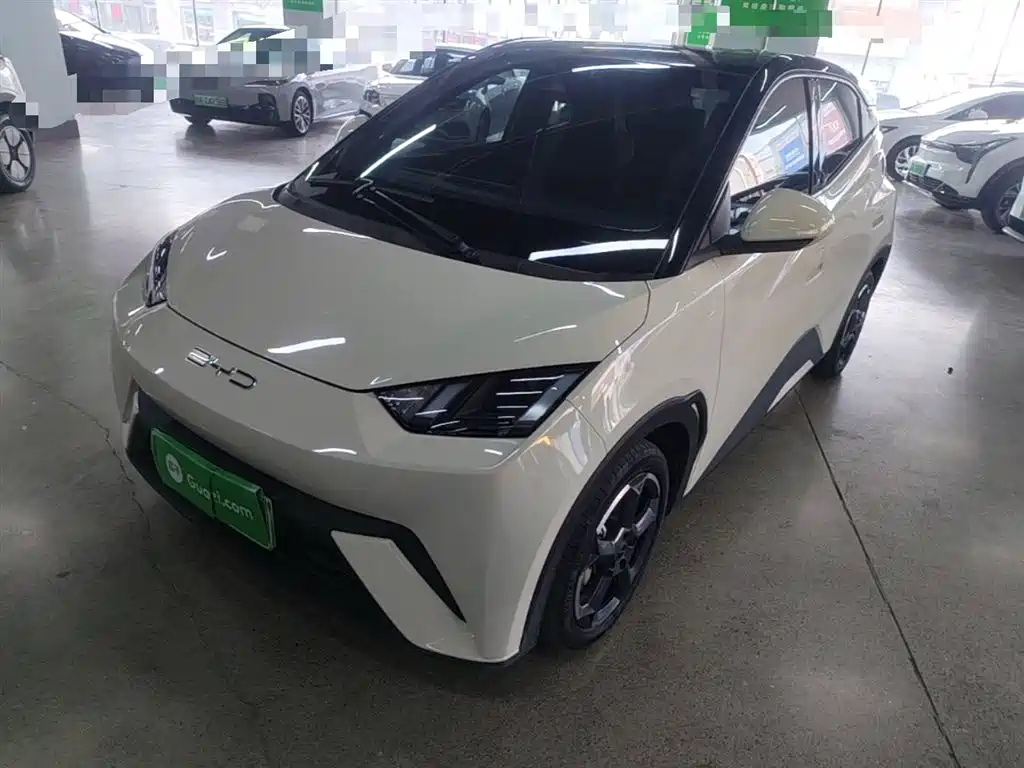 Byd Seagull 2023