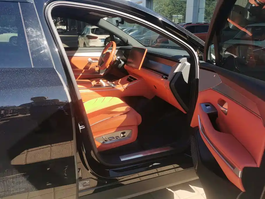BYD Дон Л. — миниатюра 8