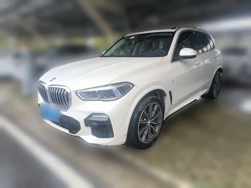 BMW X5 (Import) — миниатюра 2