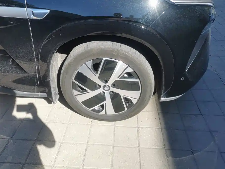 BYD Дон Л. — миниатюра 6
