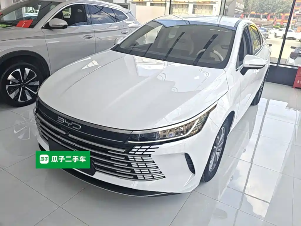 BYD Destroyer 05 — миниатюра 2
