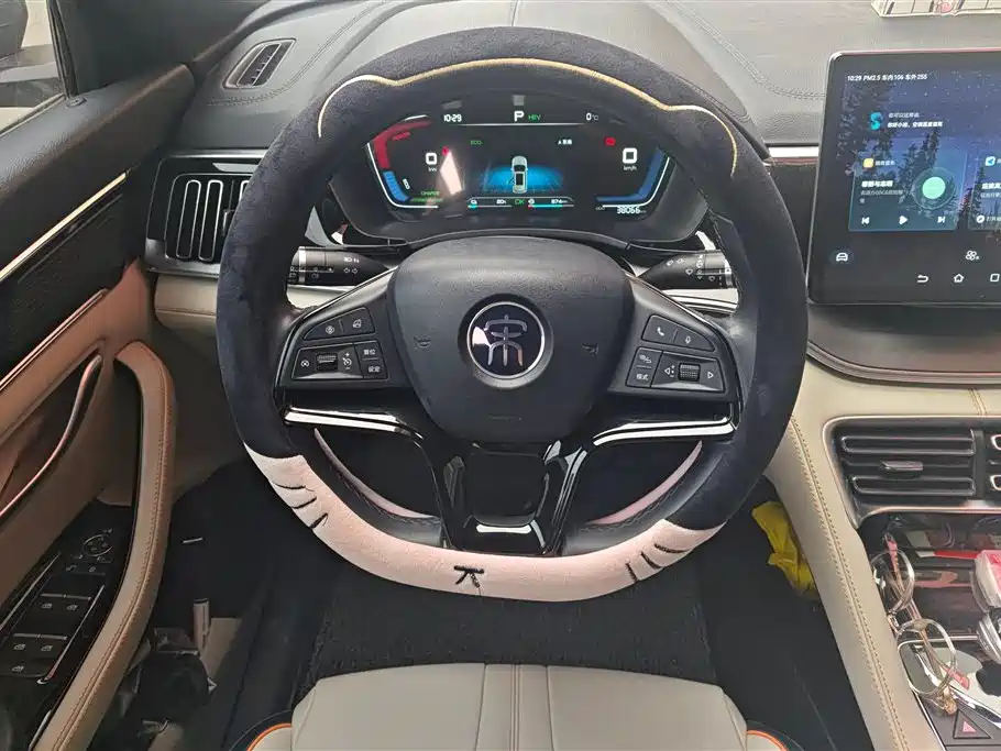 BYD SONGJIANG NEW ENERGY