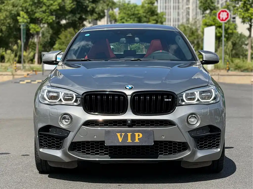 BMW X6 M — миниатюра 2