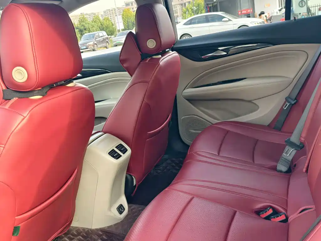 Buick Regal — миниатюра 13