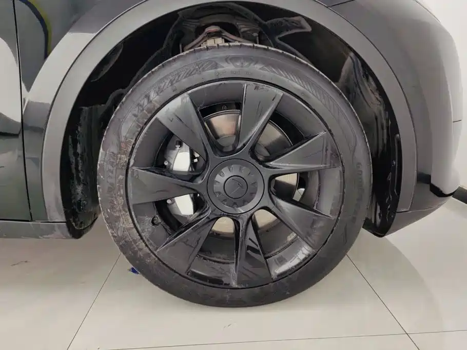 Tesla Model Y — миниатюра 6