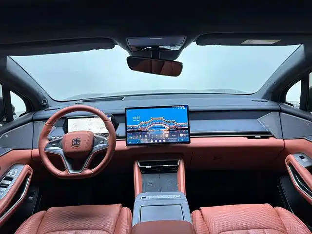 BYD Дон Л. — миниатюра 7