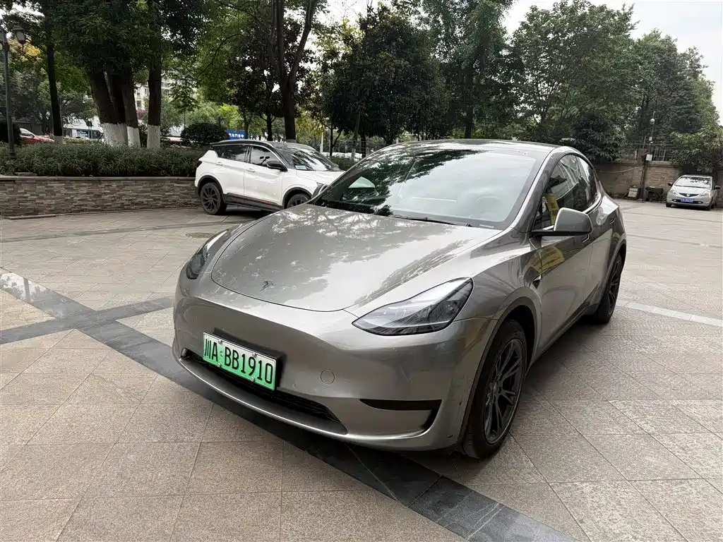 Tesla Model Y 2024
