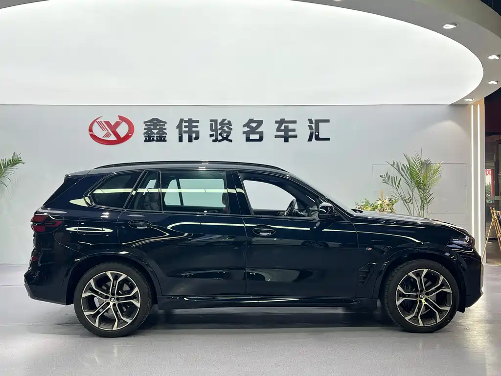 BMW X5 — миниатюра 5