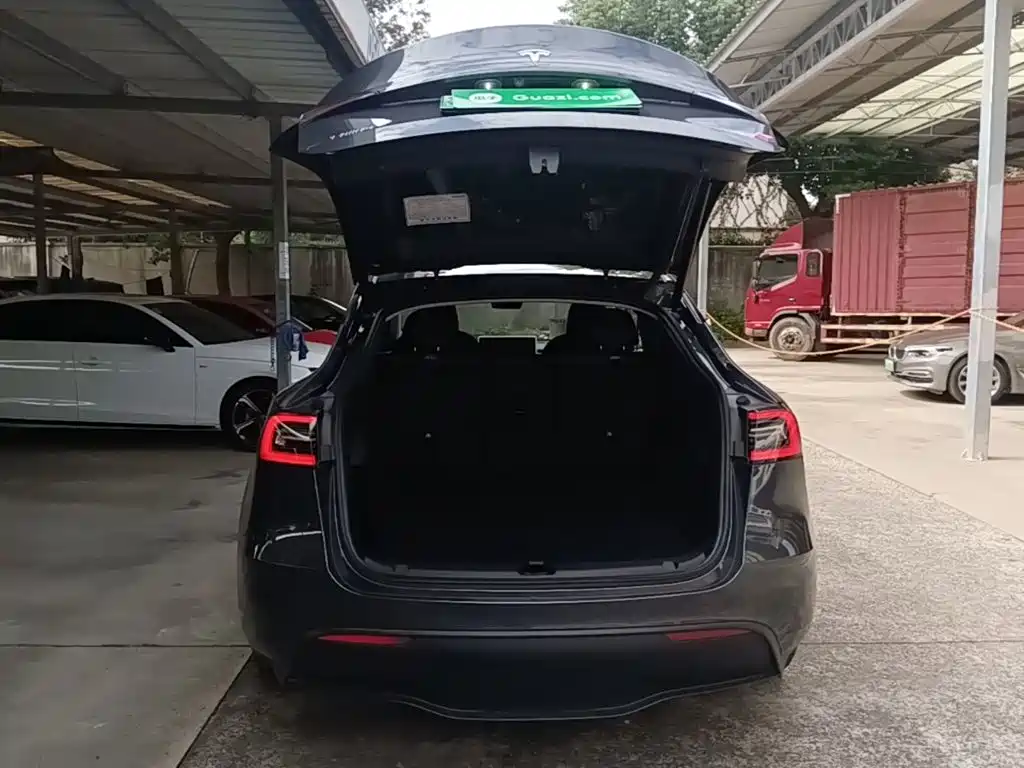 Tesla Model Y — миниатюра 19
