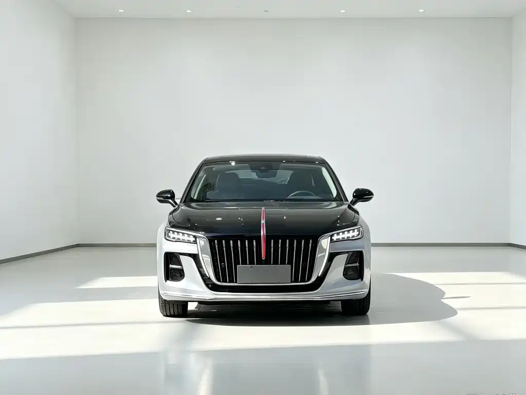 Hongqi Hongqi H5 — миниатюра 2